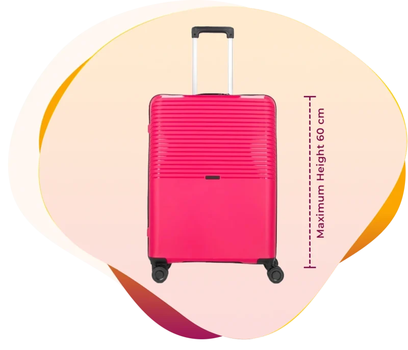 Large Size Luggage Storage (Max Height: 60 cm)